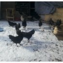 산골마당 이미지