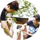 유명동물약품 이미지