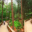 경기 양평 산음자연휴양림 약 3km 치유숲길 따라 걷기 좋은 곳 이미지