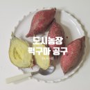 상중농장 이미지