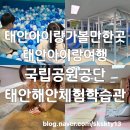 (버스)송탄공단입구 | 태안아이랑가볼만한곳 태안아이랑실내 국립공원공단태안해안체험학습관