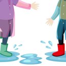 슈즈케어 이미지