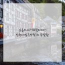 안녕피티 이미지