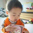 캠스토리