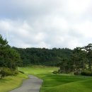 (주)푸른솔 이미지