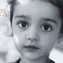 대성안경 이미지