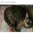 [안내]사단법인 전국대리기사협회 구글블로거 이미지