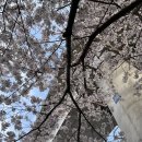 원투복싱핏 이미지