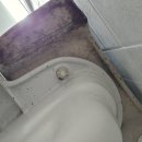 한가람아파트 | 대전탄방동한가람아파트 이사청소후기 ***.****.****