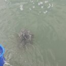 대하공원 이미지