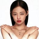 디바헤어 이미지