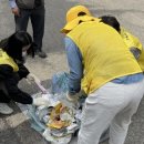 정자1동 행정복지센터 이미지