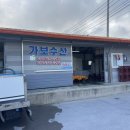 (주)통영허브수산 | 기다리고 기다렸던 통영 가보수산 생새우 사먹은 후기