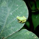 (주)양지약품 이미지