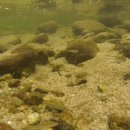 퇴곡2리 이미지