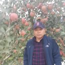 춘양농장 Daum카페