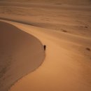 풍경화꽃식물원 이미지