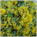 진심인공인중개사사무소 이미지