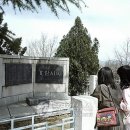 선구자 시비 이미지