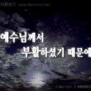 가리미김밥 이미지