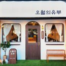 소중한유부