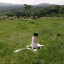 노을숲제주 | 숲길부터 노을 바다까지, 온화스냅 제주 웨딩스냅 촬영 후기