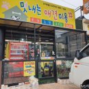 멋내는 애견 이미지