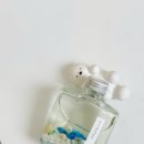 바다를 담은 석고방향제 이미지