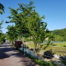 위크팜글램핑 이미지