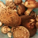 호영농장 이미지