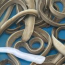 기장바다장어구이 이미지