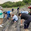 만지원농장 이미지