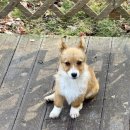 포천 팜스플랜 이미지