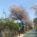 서울 텃밭 | 광진구 자투리텃밭 신청부터 파종까지 초보농부 후기