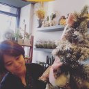 (전)J.my flower 이미지