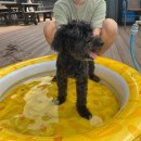 이쁘개 즐겁개 이미지