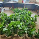 남안동농협 이미지