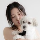 예닮헤어 - 서구 오량2길 3 | 헤어변형의 신 소공 예닮 실장님과 콜레트 웨딩촬영 후기, 헤어변형 추천