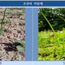 보태기밥상 이미지