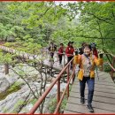 26년 26차 정기산행/ 소금강 구령폭포, 초복행사(7월 10일 금요일 8시) 이미지