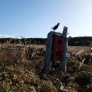 의귀새마을금고 이미지