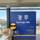 네오모텔 | [경주여행] 짧고도 길었던 경주 여행기(여행 코스 맛집 카페 맥주 추천)