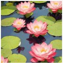 연꽃세상 | 연꽃 의미 꽃말 알아보기 여자 아기이름 짓기 후기