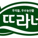 우리청과마트 - 동구 중앙로 204-2 | 우리청과마트