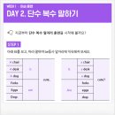 기초 생활영어 | 성인기초 영어공부 내돈내산 후기 보법이 다른 커리큘럼