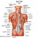 퍼온글/[레슨동영상 설명]자신있는 포핸드 스윙을 위한 연습 방법 이미지