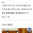 호수위 달그림자 (채근담 언급 윤석열, 헌법재판소) 이미지