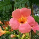 정경진한의원 이미지