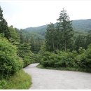 영화마을 이미지