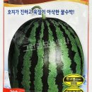 조은정원농장 이미지